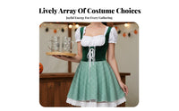 Bavarian Regionn Region N Festival Costume Plus Size Available German Beer Maid
