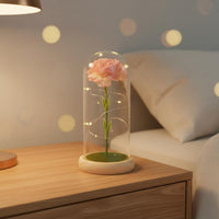 Carnation in Glass Dome Romantic Gift LED Flower Night Light Warm Radiance