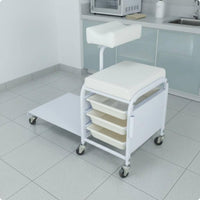 Salon Rolling Workstation Basic Salon-Style Storage Effortless Cart to Mobile Beauty Cart with Tray for Beauticians