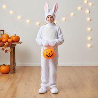 Soft Hare Jumpsuit Hooded Design Kids Hare Costume 4-Piece Set Full Body Bunny Costume for Party