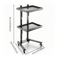 2-Tier Salon Trolley Mobile Beauty Trolley Strong Salon Tray Cart for Home Styling Stations