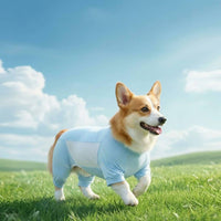 Corgi House Pajama Soft Cooling Dog Shirt Lightweight for Home, Sleep, Corgis