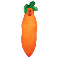 Adult Carrot Cosplay Costume Full-Length Carrot Costume Smooth Printed Surface Party Clothing for Stage