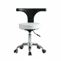 Salon Chair 360 Degree Rotation Rolling Swivel Chair 5 Caster Base Swivel Rolling Stool