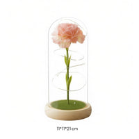 Carnation in Glass Dome Romantic Gift LED Flower Night Light Warm Radiance