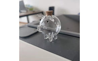 Mini Pig Glass Bottle Valentine's Day Gift Transparent Pig Coin Bank for Office