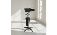 Portable Shampoo Bowl with Stand Stable Mobile Shampoo Basin Deep Washing Unit for Hairstylists