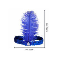 Rhinestone Accent Ostrich Feather Hairband Stretchy Feather Headband Elastic Band for Adults, Women, Dance Performance, Parties, Festivals