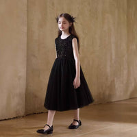 Black Sequin Princess Dress Lined Inside for Recital, Wedding, Students