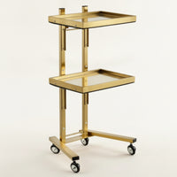 2-Tier Salon Trolley Mobile Beauty Trolley Strong Salon Tray Cart for Home Styling Stations