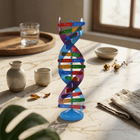 Model Ladder-Like Rungs Double Spiral Model Hands-on Learning Science Teaching Aid for Classroom