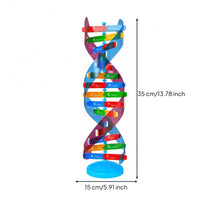Model Ladder-Like Rungs Double Spiral Model Hands-on Learning Science Teaching Aid for Classroom