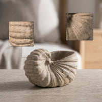 Mineral Conch with Hollow Top Textured Beach Conch Statue Coastal Figurine for Coffee Table