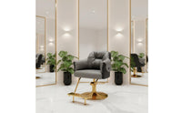 Adjustable Height Hydraulic Barber Chair Light Luxury Design Swivel Hair Cutting Chair Easy to Clean Ergonomic Design for Hairstylists, Barbers, Beauty Parlor