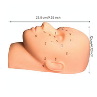 Easy to Clean Facial Massage Training Head Reusable Facial Acupressure Practice Model Realistic Feel for Estheticians, Beauty School