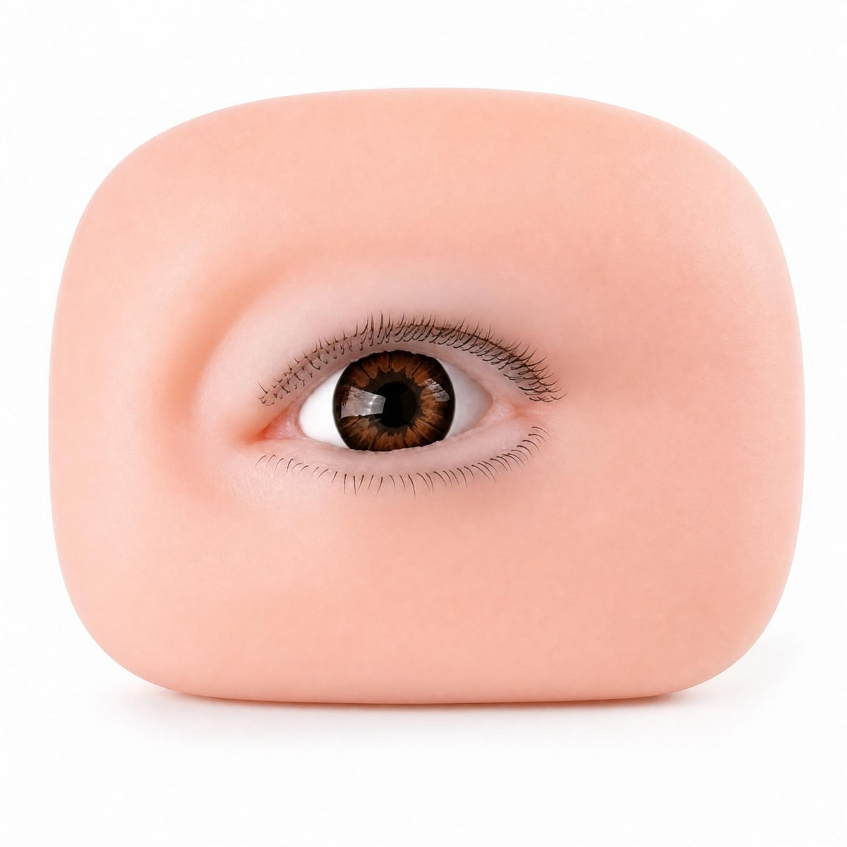 Eye Practice Model Life-Size Silicone Eye Model Eco-Friendly for Makeup Artists