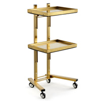 2-Tier Salon Trolley Mobile Beauty Trolley Strong Salon Tray Cart for Home Styling Stations