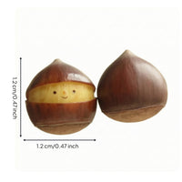 Chestnut Earrings Matte Ear Studs Compact for Women, Teens