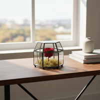 Hexagonal Glass Box Hinged Lid Lidded Display Box Vintage Jewelry Case Multipurpose Vintage Design Jewelry Organizer for Desktop