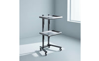 2-Tier Salon Trolley Mobile Beauty Trolley Strong Salon Tray Cart for Home Styling Stations