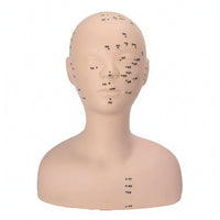 PVC Mannequin Head with Shoulders Soft Acupoint Training Model Multi-Function