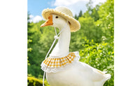 Pet Hat Set Lace Trim Woven Straw Hat Decorative