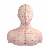 Realistic Skin Feel Acupressure Point Practice Model Soft Material Manikin Head Shoulder Bust Professional Grade for Students, Beauty School