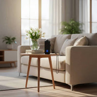 Mini Car Air Purifier Portable Design Personal Negative Ion Generator