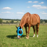 Horse Fly Mask Fine Mesh Horse Fly Face Cover Ear Area Openings for Outdoor