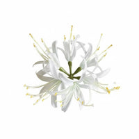 Lily Hairpiece Chinese Design Hairpin Elegant Design for Cosplayers, Women