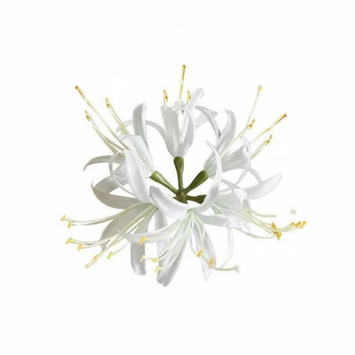 Lily Hairpiece Chinese Design Hairpin Elegant Design for Cosplayers, Women
