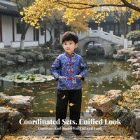 Boys Traditional Chinese Costume, Tang Suit, Long Sleeve, Autumn, Classic Ancient Performance Design