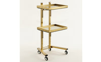 2-Tier Salon Trolley Mobile Beauty Trolley Strong Salon Tray Cart for Home Styling Stations