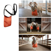 Anti-Mating Apron Long-Lasting Buck Apron Strong for Breeders, Farmers