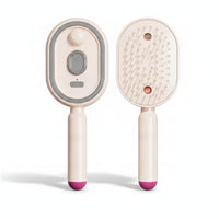 Oval Steam Hair Brush Type-C Charging Cushioned Massage Comb Handheld