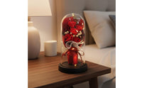 Preserved Bloom Glass Dome Long-Lasting Eternal Flower LED Lamp for Wife, Women