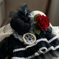 Elegant Pet Dress with Hat Fancy Lace Dog Costume Layered Cat Dress with Veil Vintage for Cats, Dogs, Small Pets, Photo Shoots, Halloween, Parties