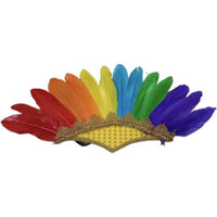 Indian Feather Headdress