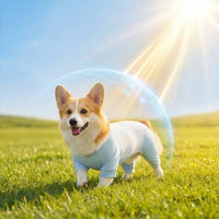Corgi House Pajama Soft Cooling Dog Shirt Lightweight for Home, Sleep, Corgis