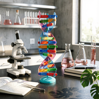 Model Ladder-Like Rungs Double Spiral Model Hands-on Learning Science Teaching Aid for Classroom