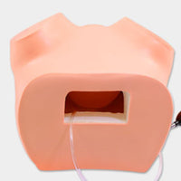Gynecological Training Model Educational Use Gynecological Exam Model