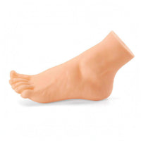 Realistic Foot Model Matte Finish Display Prop Easy to Clean for Shoe Fitting