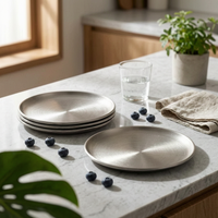 4 Pieces Round Snack Plate Shatterproof Stainless Steel Plate Rust Resistant