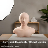 Realistic Skin Feel Acupressure Point Practice Model Soft Material Manikin Head Shoulder Bust Professional Grade for Students, Beauty School