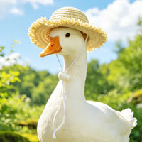 Pet Hat Set Lace Trim Woven Straw Hat Decorative