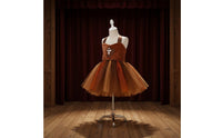 Squirrel Costume Dress Soft Bodice Creature Tutu Outfit for School Play