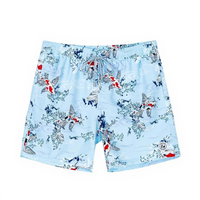 Quick Dry Beach Shorts, Lightweight, Aquatic, Holiday, Men
