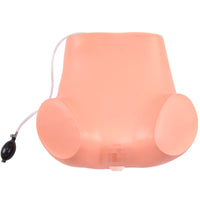 Gynecological Training Model Educational Use Gynecological Exam Model
