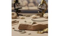 Prehistoric Tooth Jewelry Piece Beachy Aesthetic Tooth Necklace for Summer