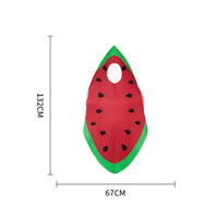 Watermelon Slice Costume Halloween Watermelon Costume Funny